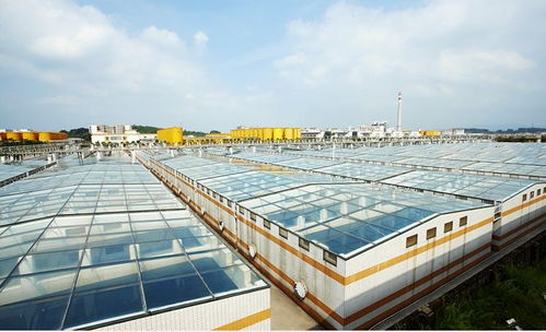 中國食品制造大王 調(diào)味品界的茅臺，億萬富豪工廠的“不打醬油”經(jīng)營哲學(xué)